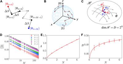 Efficient Criteria of Quantumness for a Large System of Qubits